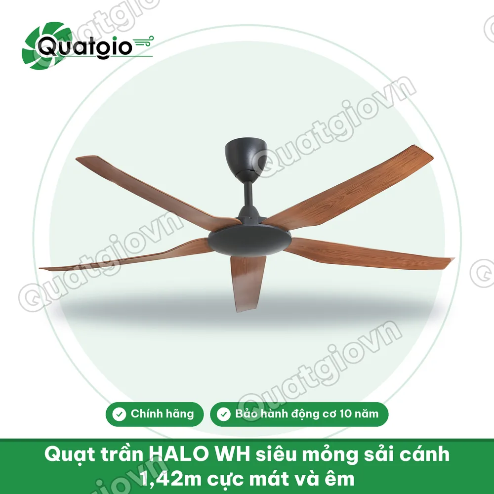 Thông tin Quạt trần Mr Vũ Halo WN 1420mm DC